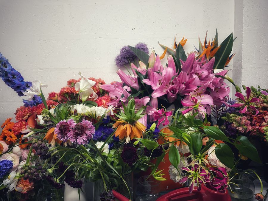 Shot of a bunch of flowers