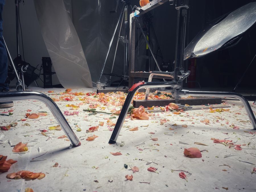 Shot of rose petals all over a studio floor